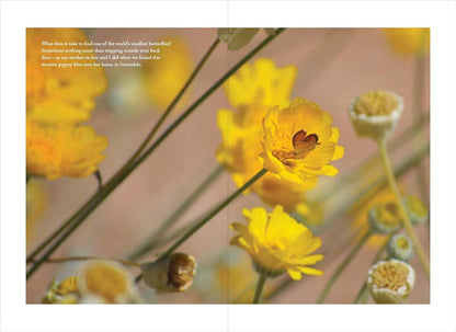 Humane Gardener: Nurturing a Backyard Habitat for Wildlife by Nancy Lawson