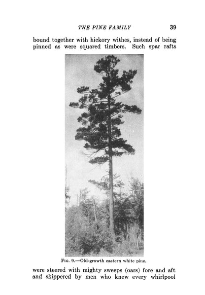 Trees of the Eastern and Central United States and Canada: The Identification, Habits, Distribution, Woodlore and Uses of Conifers and Hardwoods, Both