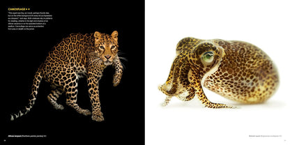 The Photo Ark: One Man's Quest to Document the World's Animals (National Geographic)