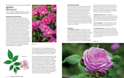 Essential Aromatherapy Garden: Growing and Using Scented Plants and Herbs by Julia Lawless
