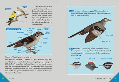Outdoor School: Animal Watching- The Definitive Interactive Nature Guide