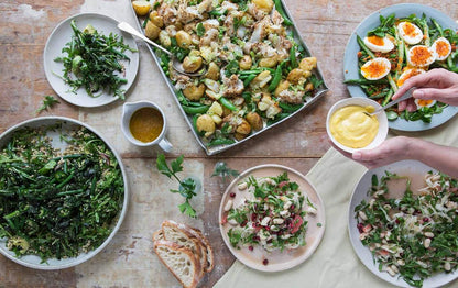 Big Salads: The Ultimate Fresh, Satisfying Meal, on One Plate by Kat Mead