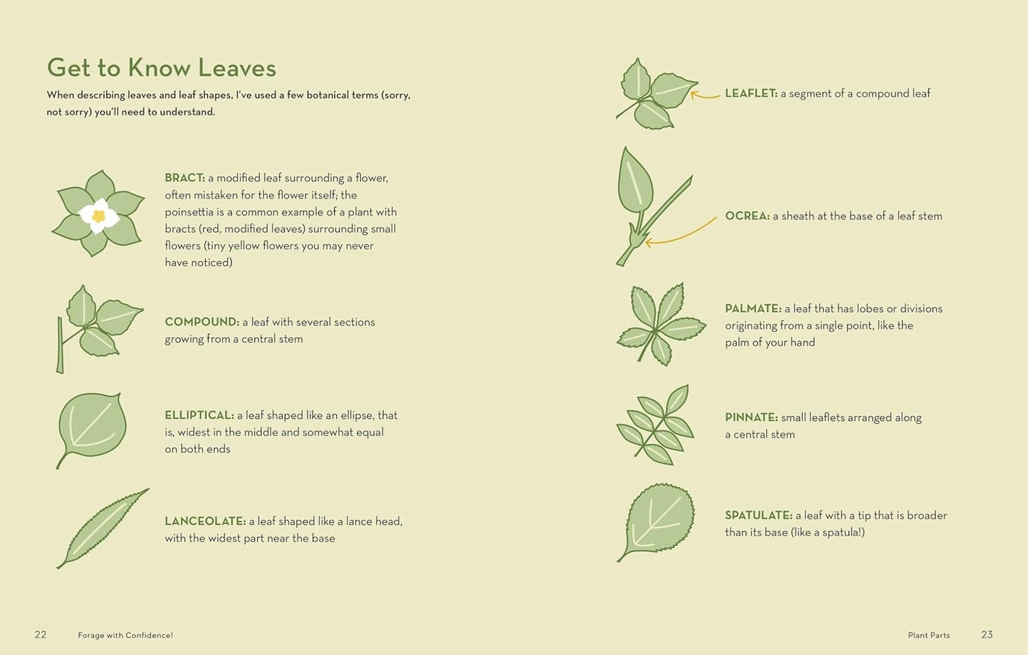 How to Forage for Wild Foods Without Dying: An Absolute Beginner's Guide to Identifying 40 Edible Wild Plants by Ellen Zachos