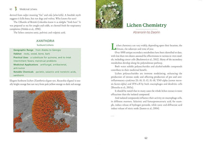 Medicinal Lichens: Indigenous Wisdom and Modern Pharmacology: Indigenous Wisdom and Modern Pharmacology by Robert Dale Rogers