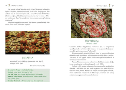 Medicinal Lichens: Indigenous Wisdom and Modern Pharmacology: Indigenous Wisdom and Modern Pharmacology by Robert Dale Rogers