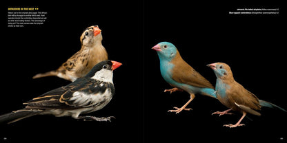 The Photo Ark: One Man's Quest to Document the World's Animals (National Geographic)