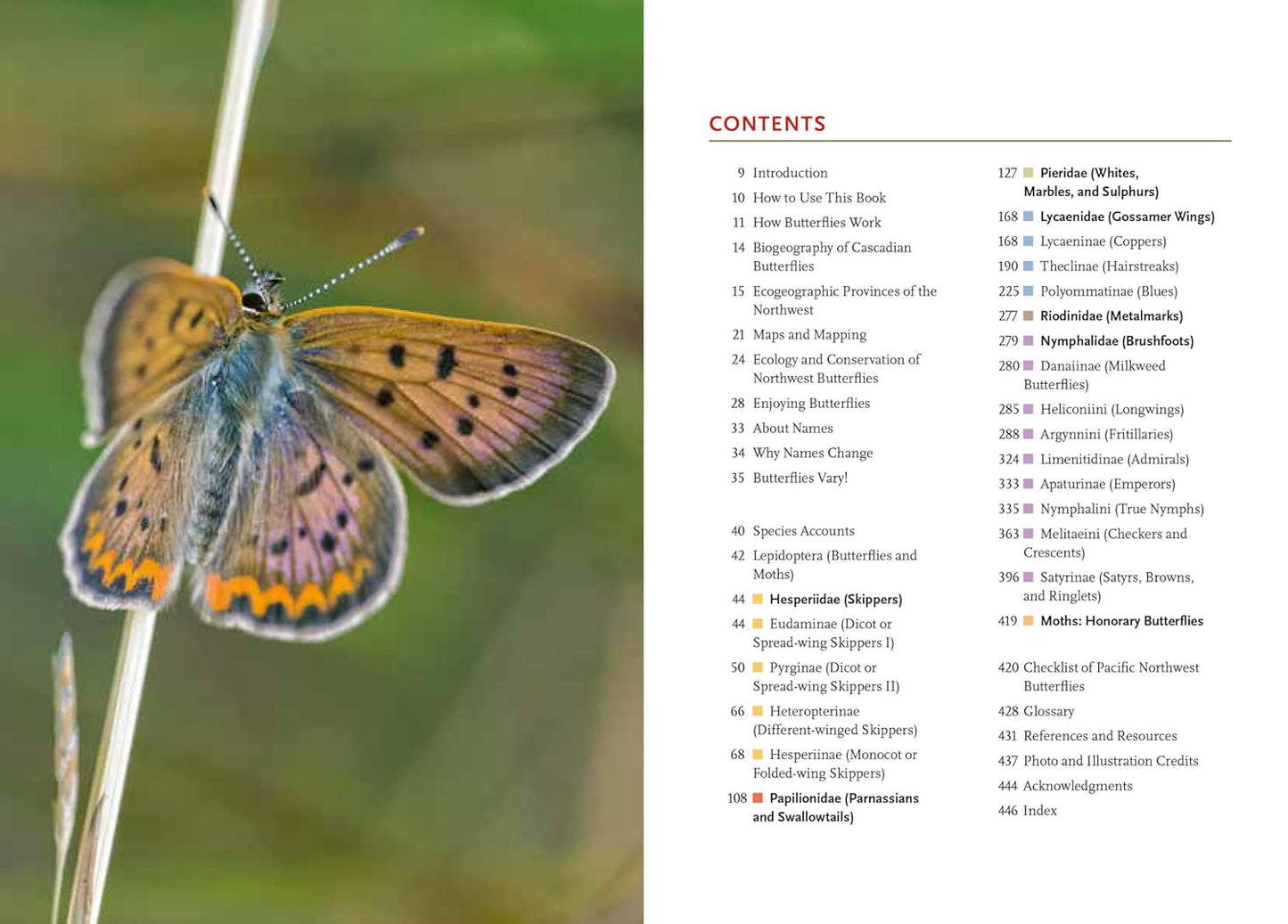 Butterflies of the Pacific Northwest by Robert Michael Pyle & Caitlin C Labar