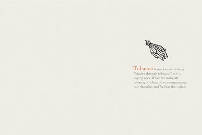 You Were Made for This World: Celebrated Indigenous Voices Speak to Young People by Stephanie Sinclair & Sara Sinclair