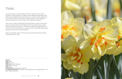 Daffodils: Beautiful Varieties for Home and Garden