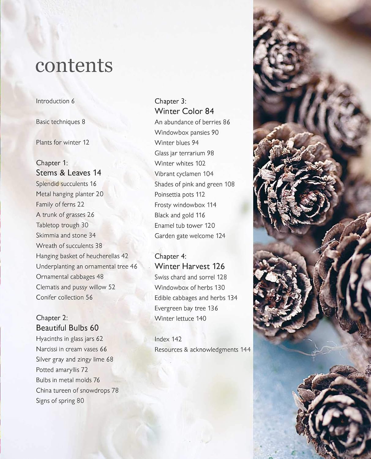 The Winter Garden: Over 35 Step-By-Step Projects for Small Spaces Using Foliage and Flowers, Berries and Blooms, and Herbs and Produce: Over 35 Step-By-Step Projects for Small Spaces Using Foliage and Flowers, Berries and Blooms, and Herbs and Produce