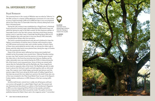 Great Trees of Britain and Ireland: 60 of the Best Ancient Avenues, Forests and Trees to Visit