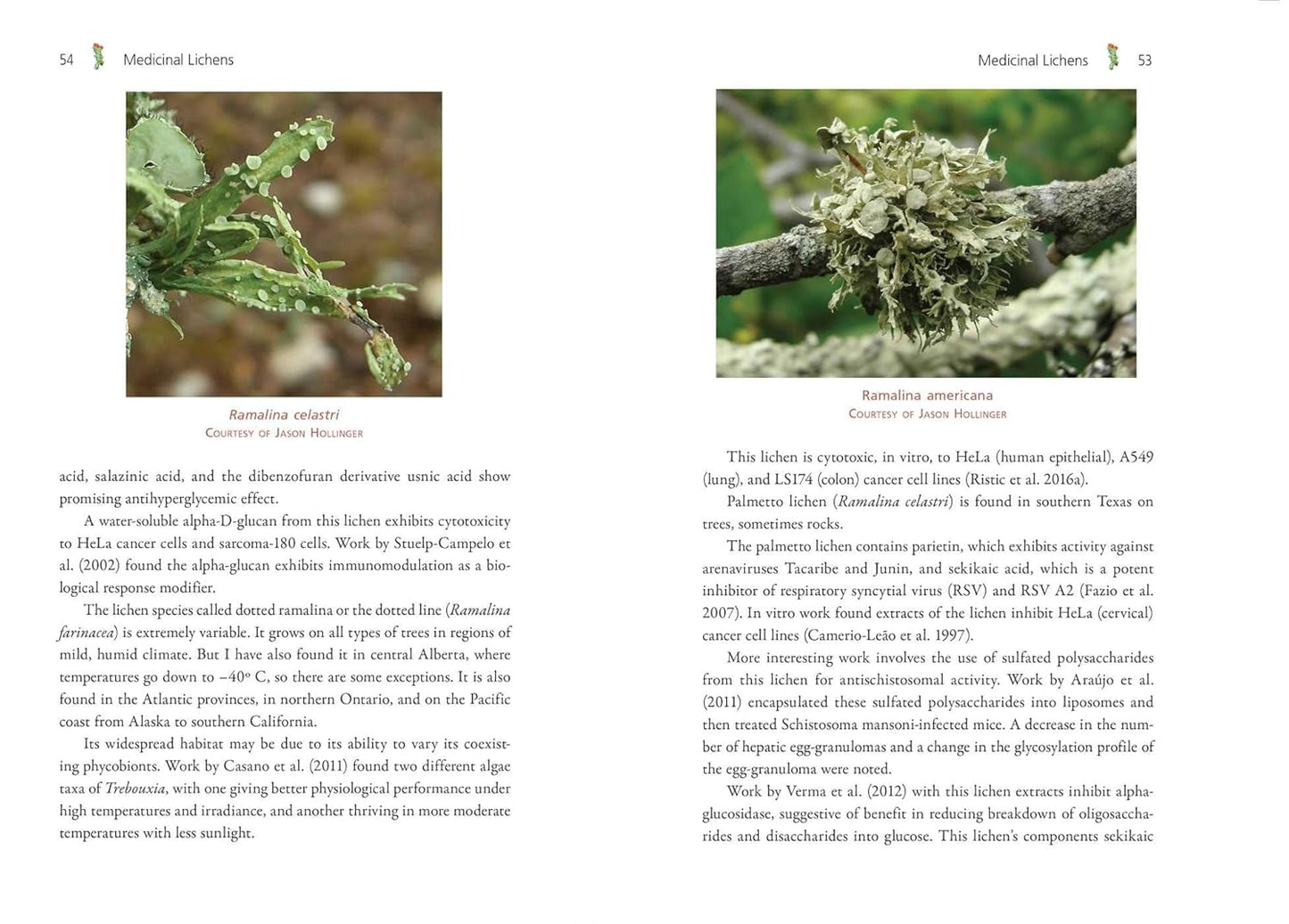 Medicinal Lichens: Indigenous Wisdom and Modern Pharmacology: Indigenous Wisdom and Modern Pharmacology by Robert Dale Rogers