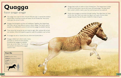 The Magnificent Book of Extinct Animals