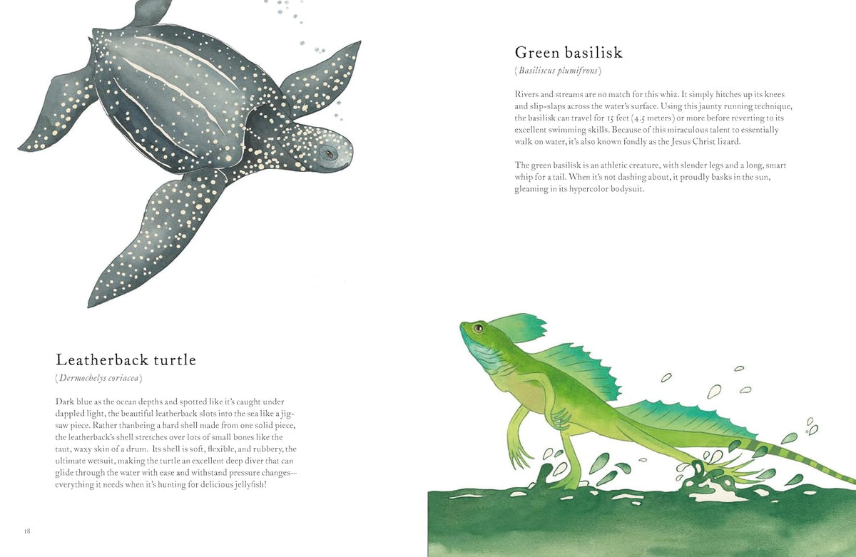 The Colorful World of Reptiles
