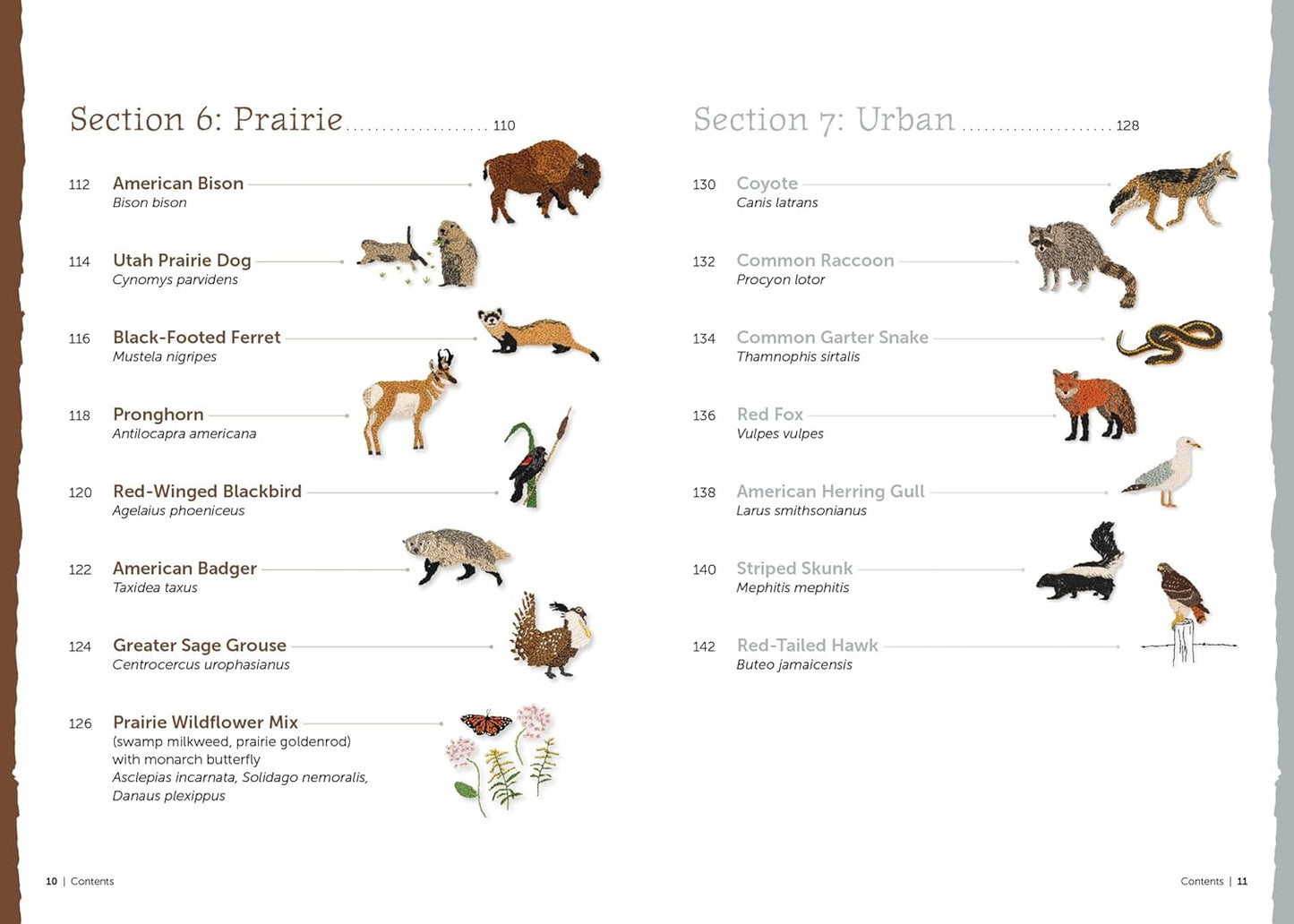 The Field Guide to Embroidery: 52 North American Animal and Plant Designs for Nature Lovers by Jessica Kemper