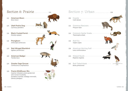 The Field Guide to Embroidery: 52 North American Animal and Plant Designs for Nature Lovers by Jessica Kemper