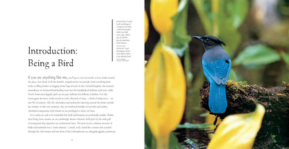 Bird Brains: The Intelligence of Crows, Ravens, Magpies, and Jays: The Intelligence of Crows, Ravens, Magpies, and Jays