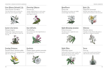 The Green Witch's Garden: Your Complete Guide to Creating and Cultivating a Magical Garden Space: Your Complete Guide to Creating and Cultivating a Magical Garden Space