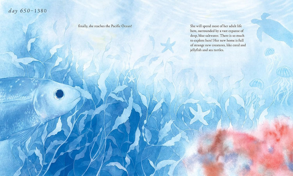 Salmon Run: An Epic Journey to the Ocean and Back