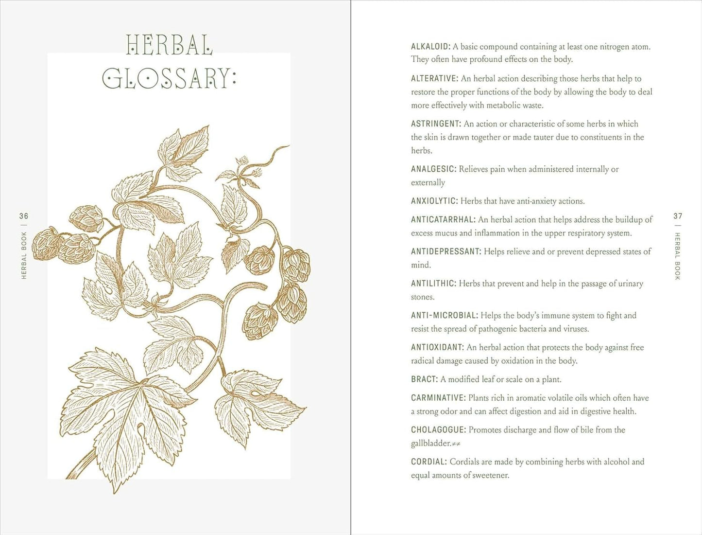 The Complete Folk Herbal: An Illustrated Guide to Natural Remedies and Everyday Healing