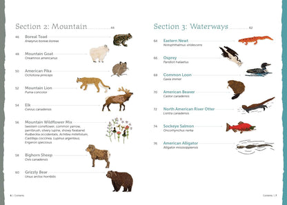 The Field Guide to Embroidery: 52 North American Animal and Plant Designs for Nature Lovers by Jessica Kemper