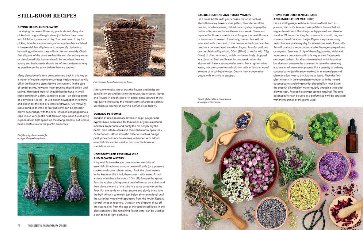 Essential Aromatherapy Garden: Growing and Using Scented Plants and Herbs by Julia Lawless