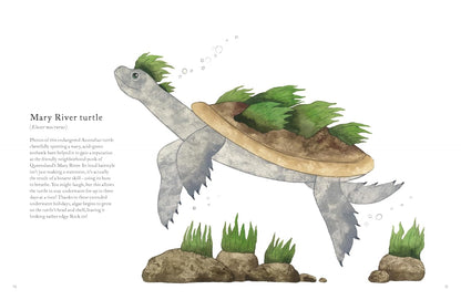 The Colorful World of Reptiles