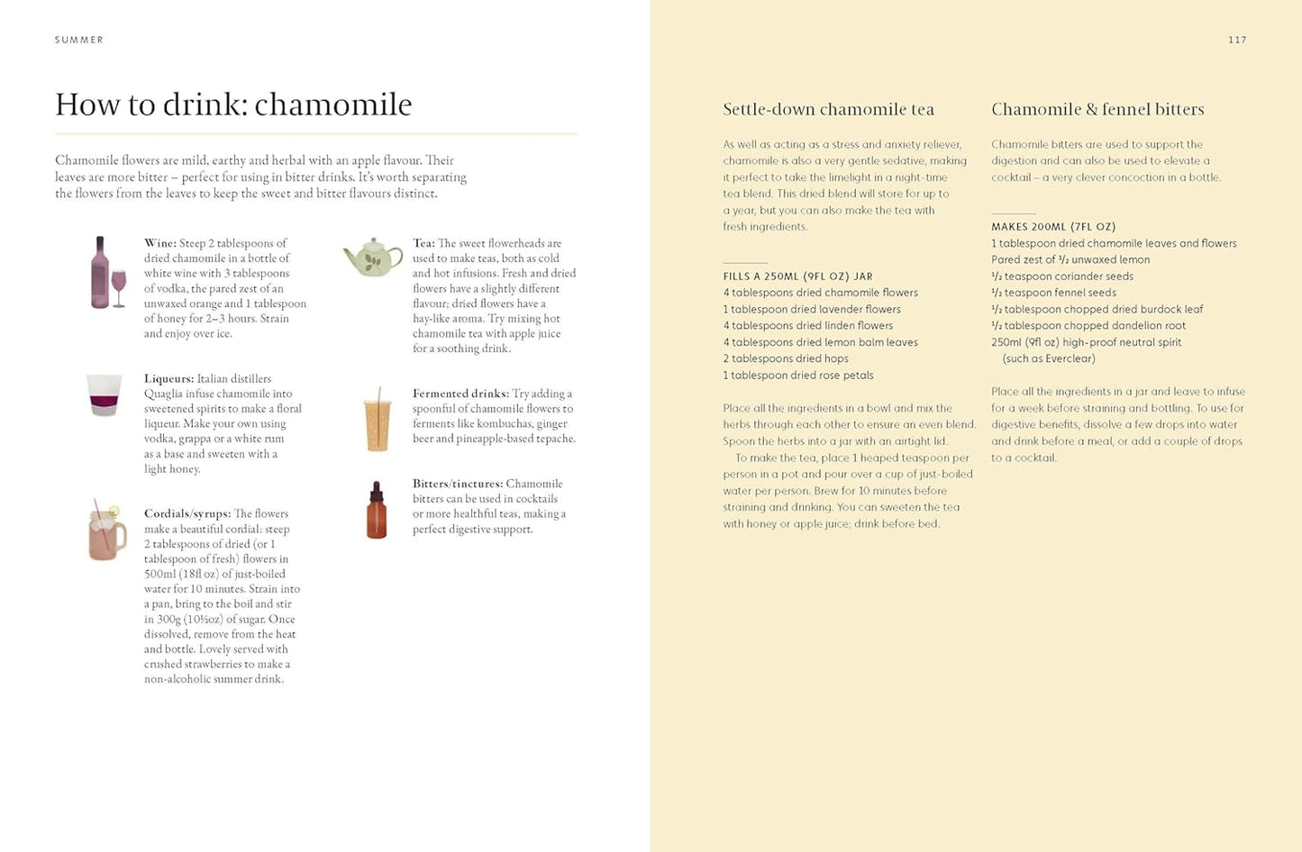 A Forager's Guide to Wild Drinks: Ferments, Infusions and Thirst-Quenchers for Every Season
