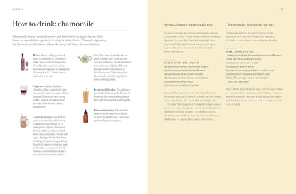 A Forager's Guide to Wild Drinks: Ferments, Infusions and Thirst-Quenchers for Every Season
