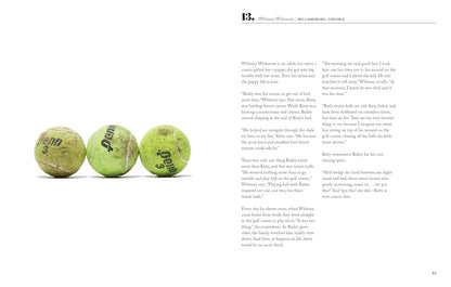 The Heirloomist: 100 Treasures and the Stories They Tell by Shana Novak