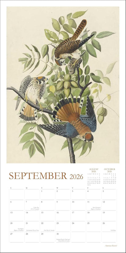 Audubon's Watercolors 2026 Wall Calendar: The Original Birds of America by The New-York Historical Society