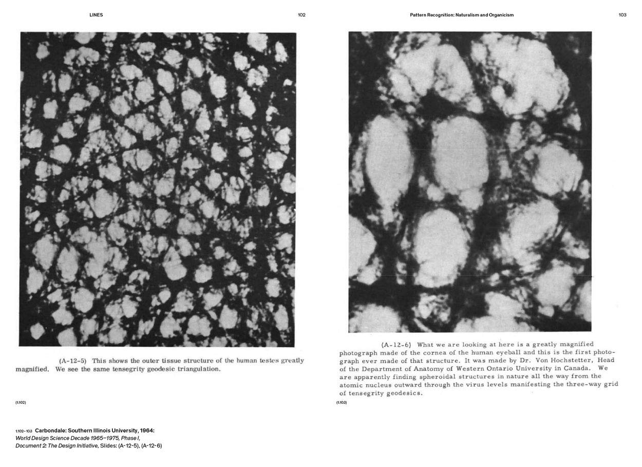 R. Buckminster Fuller: Pattern-Thinking by Daniel López-Pérez