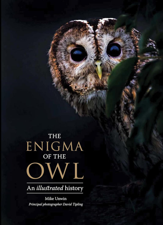The Enigma of the Owl: An Illustrated Natural History: An Illustrated Natural History