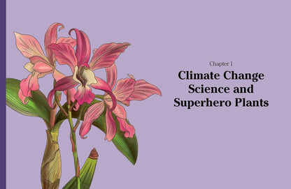 What to Grow for a Climate Resilient Garden: Practical Advice for Gardeners on Plants That Can Cope in All Climates