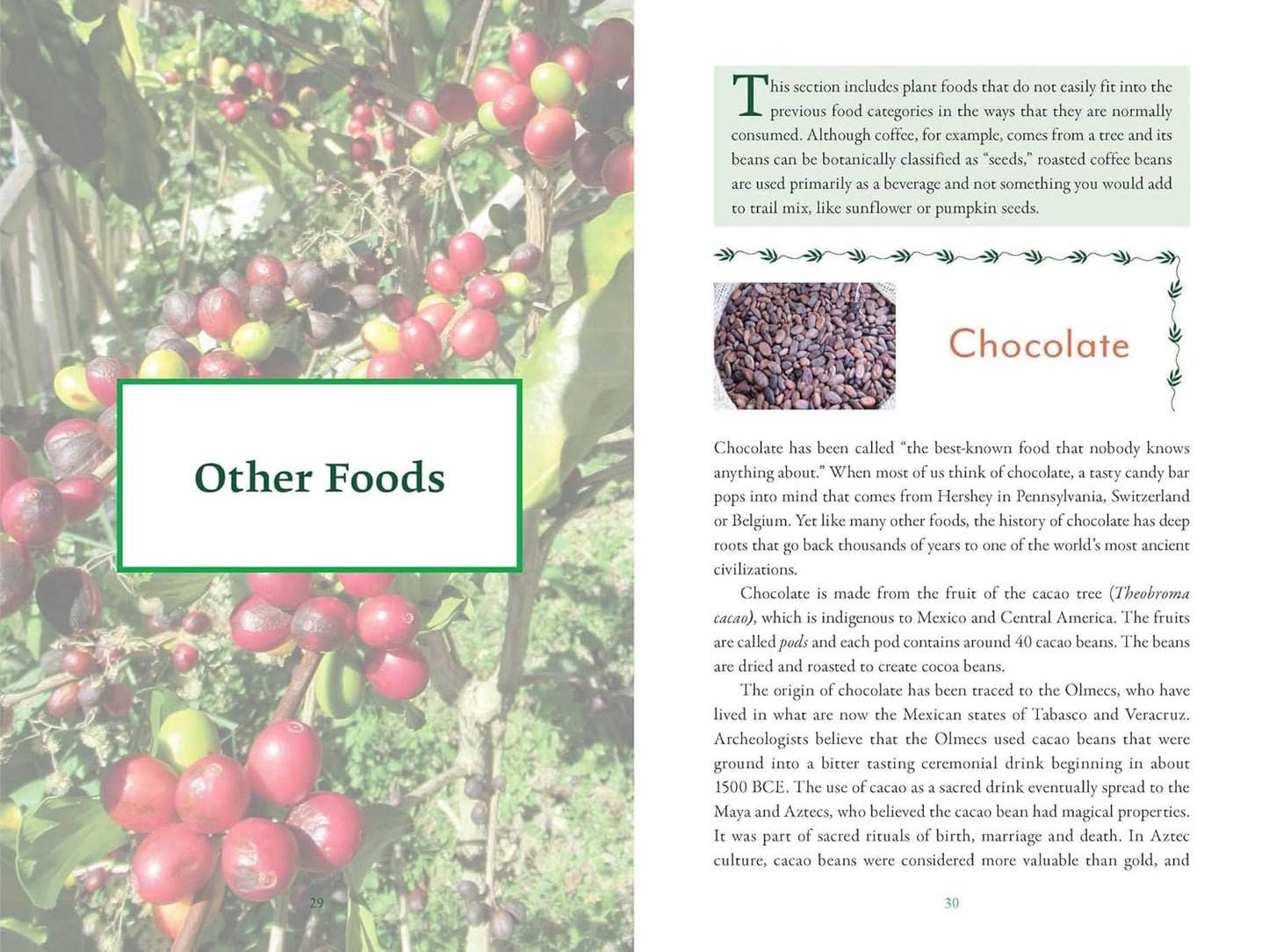 The Genealogy of Plant Foods: The Spiritual, Nutritional, and Medicinal Power of the Foods That Sustain Us by Nathaniel Altman