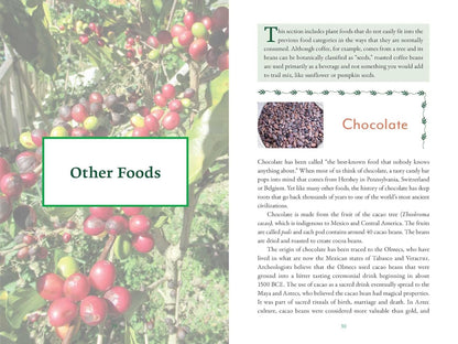 The Genealogy of Plant Foods: The Spiritual, Nutritional, and Medicinal Power of the Foods That Sustain Us by Nathaniel Altman