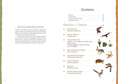 The Field Guide to Embroidery: 52 North American Animal and Plant Designs for Nature Lovers by Jessica Kemper