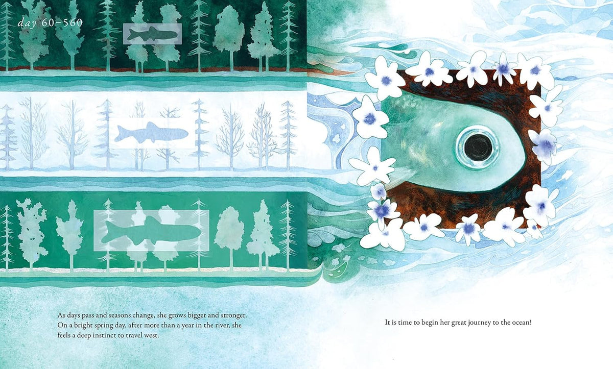 Salmon Run: An Epic Journey to the Ocean and Back