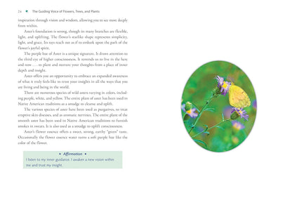 Plant Energy Medicine: The Guiding Voice and Healing Vibration of 58 Plants: The Guiding Voice and Healing Vibration of 58 Plants