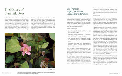 1000 Botanical Colors: Make Your Own Dyes, Paints, Inks, Stains, and Pottery Paints from 250 Plants by Caleb Warnock