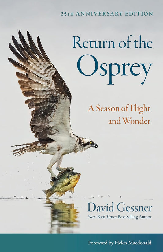 Return of the Osprey: A Season of Flight and Wonder (Anniversary)