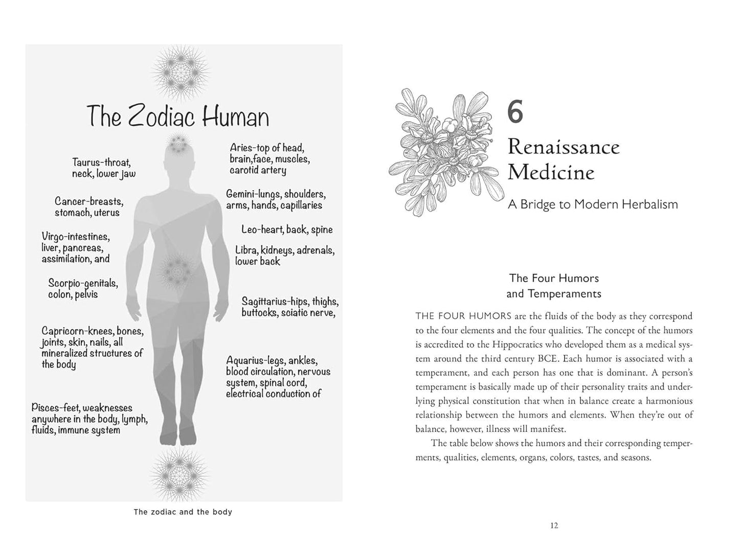 Della Medicina: The Tradition of Italian-American Folk Healing by Lisa Fazio