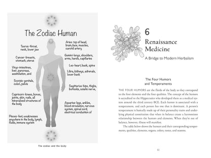 Della Medicina: The Tradition of Italian-American Folk Healing by Lisa Fazio