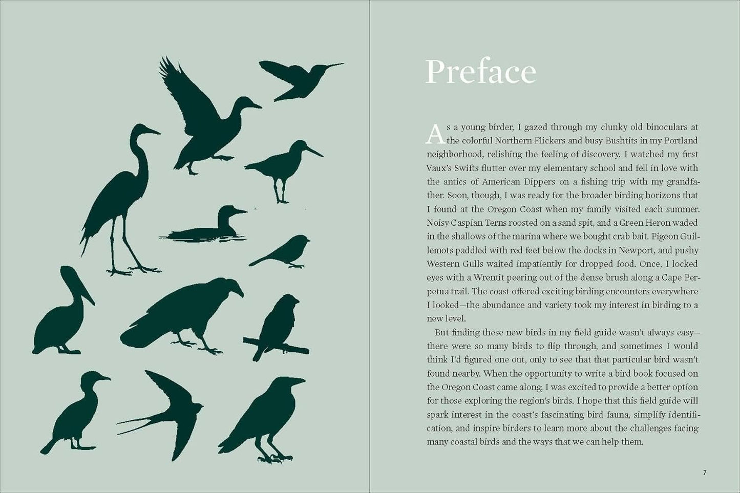 Birds of the Oregon Coast by Sarah Swanson