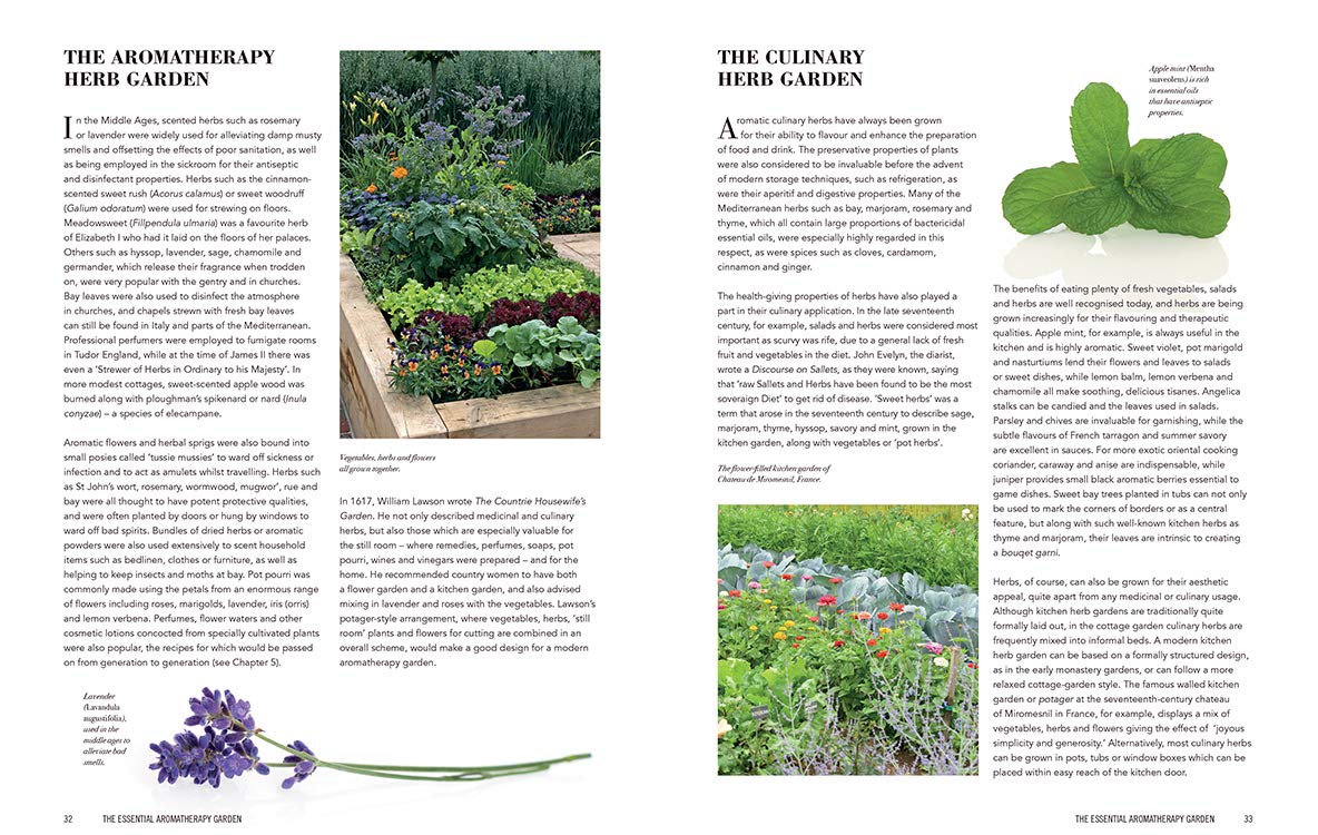 Essential Aromatherapy Garden: Growing and Using Scented Plants and Herbs by Julia Lawless