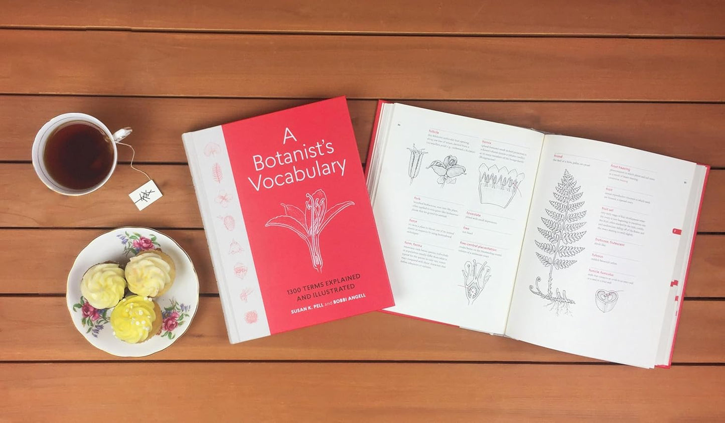 A Botanist's Vocabulary: 1300 Terms Explained and Illustrated