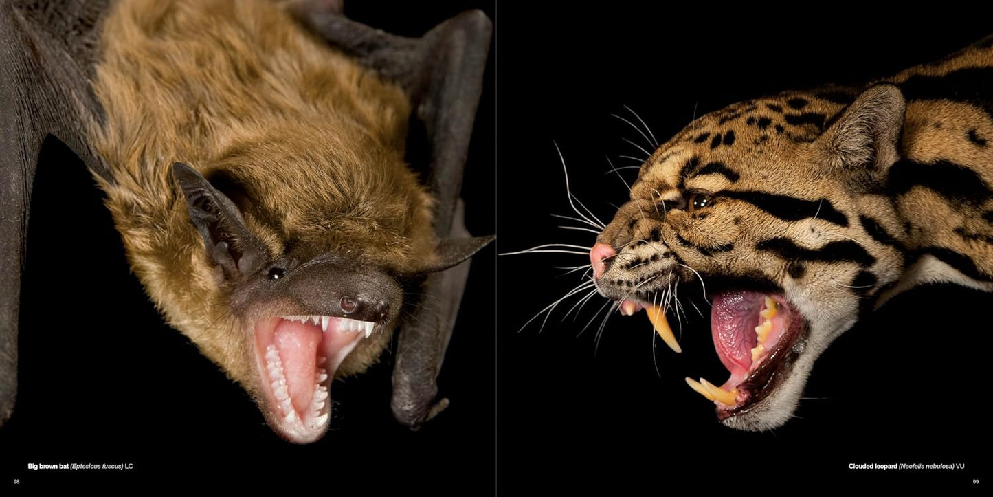 The Photo Ark: One Man's Quest to Document the World's Animals (National Geographic)