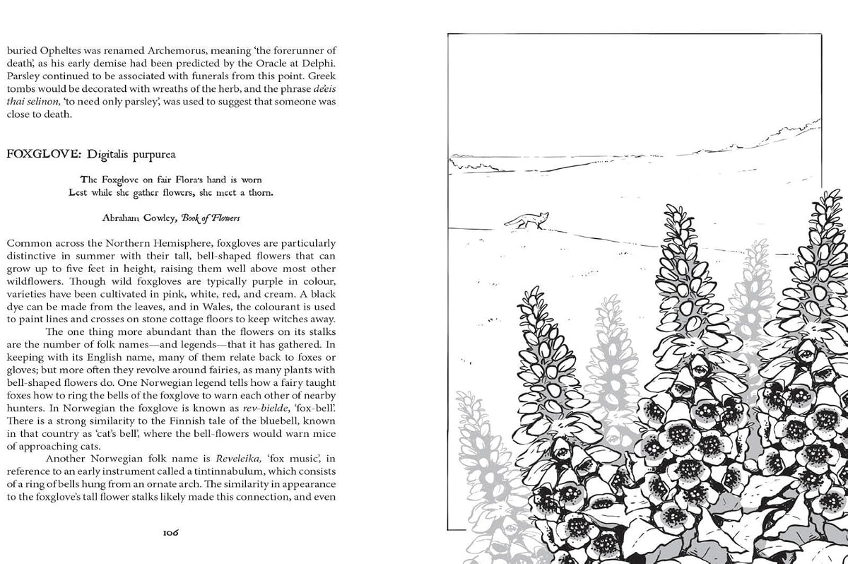 Botanical Curses and Poisons: The Shadow-Lives of Plants
