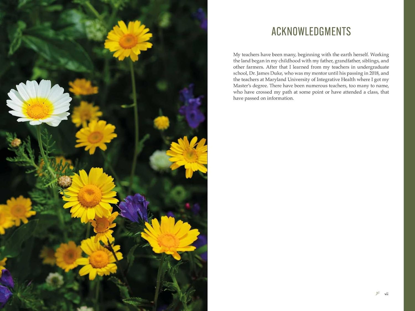 The Forager's Garden: Cultivating Wild Plants for Food & Medicine