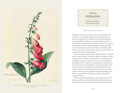 Darwin and the Art of Botany: Observations on the Curious World of Plants: Observations on the Curious World of Plants